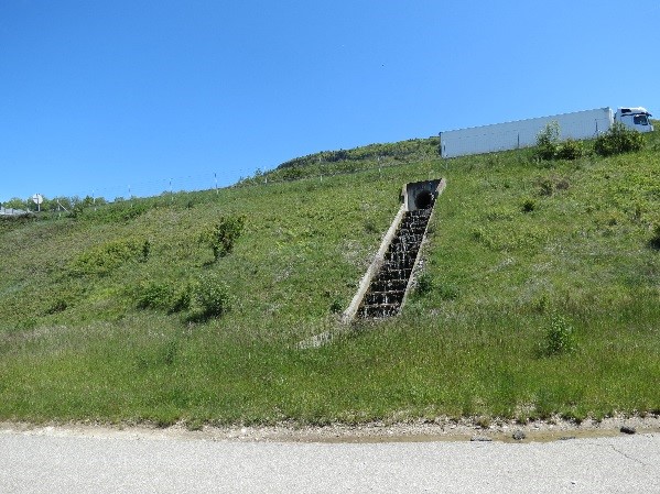 Buse béton secteur Malbuisson