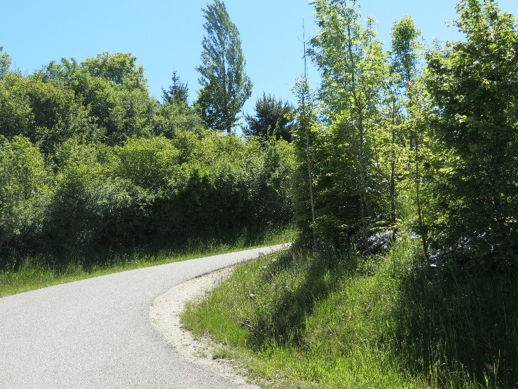 Haies bocagères le long de la route de Follon à Copponex