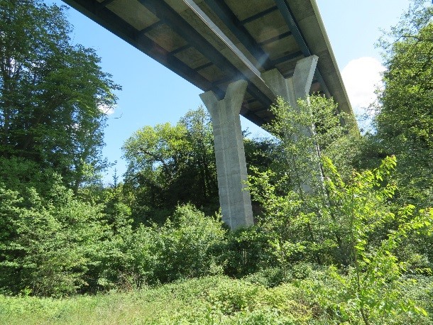 Viaduc de la Folle